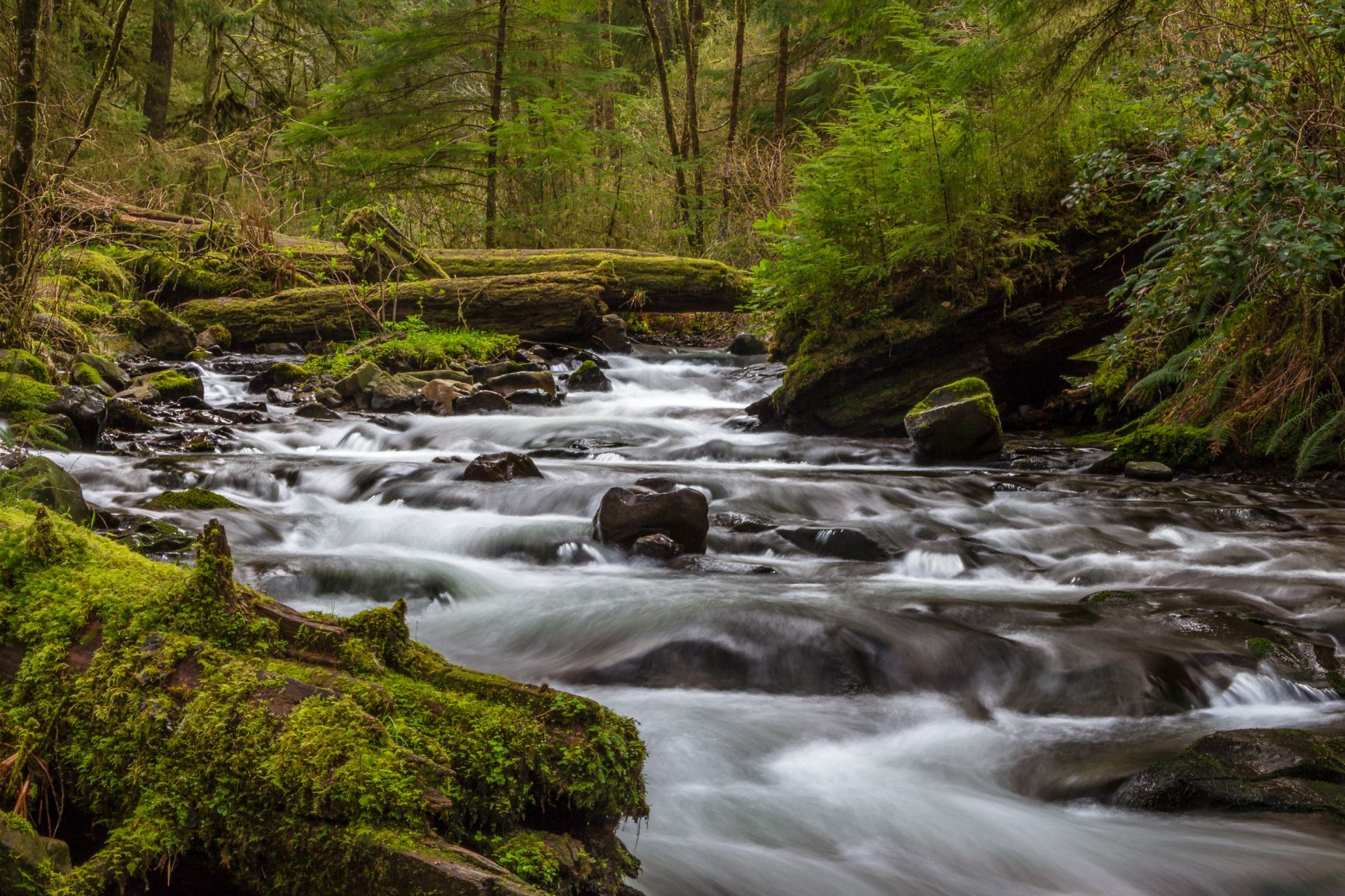 A river flowing through a forest surrounded by mossy rocks and trees.