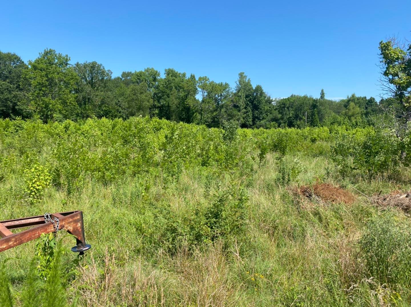 Land Clearing before photo