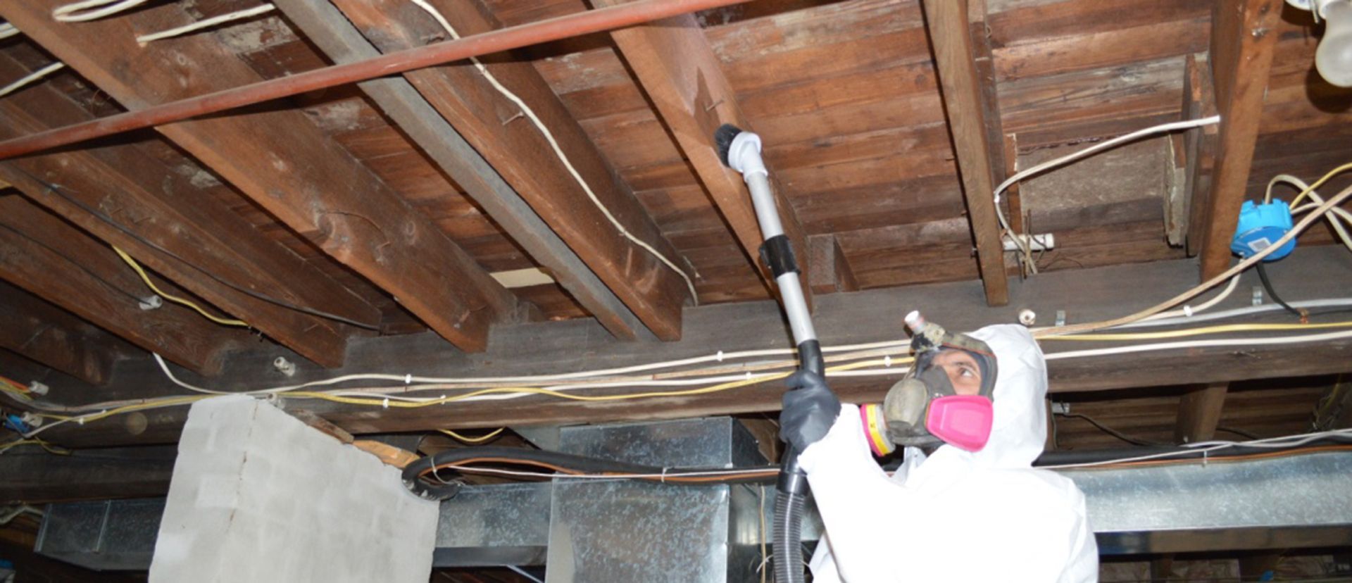 Wondering why there’s mold on your crawl space floor joists?