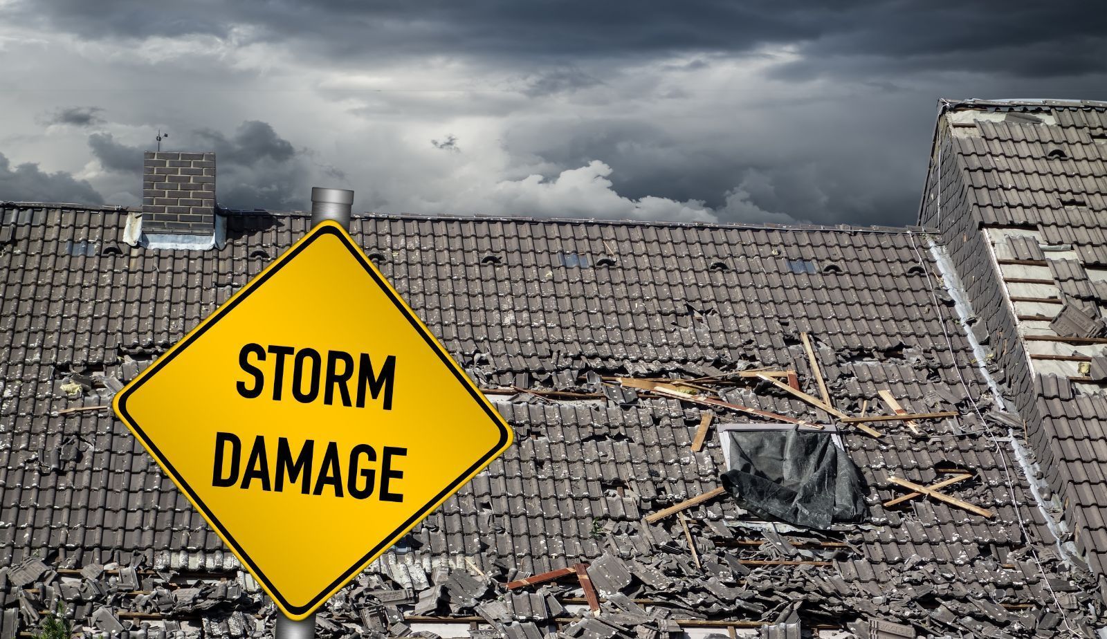 Industry Projections and Demand Forecast for Disaster Recovery Services