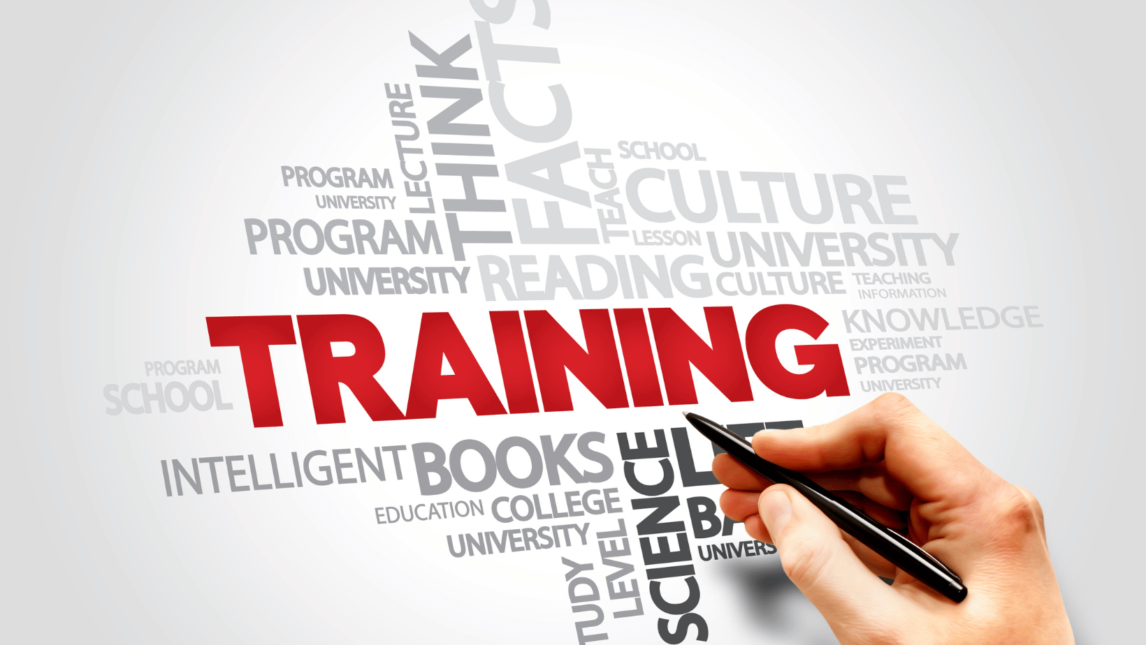 The Importance of Training and Certification