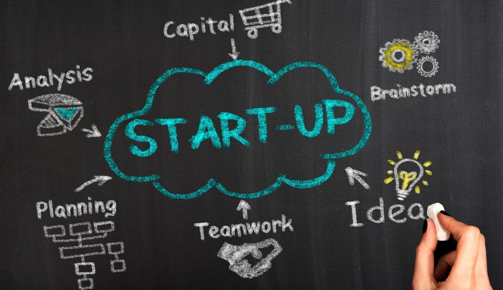 Restoration franchise stability vs. startup risk—proven model reduces failures.