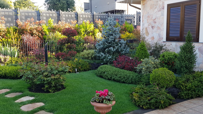 Giardino ben curato con vari arbusti verdi, cespugli colorati e un sentiero in mattoni.
