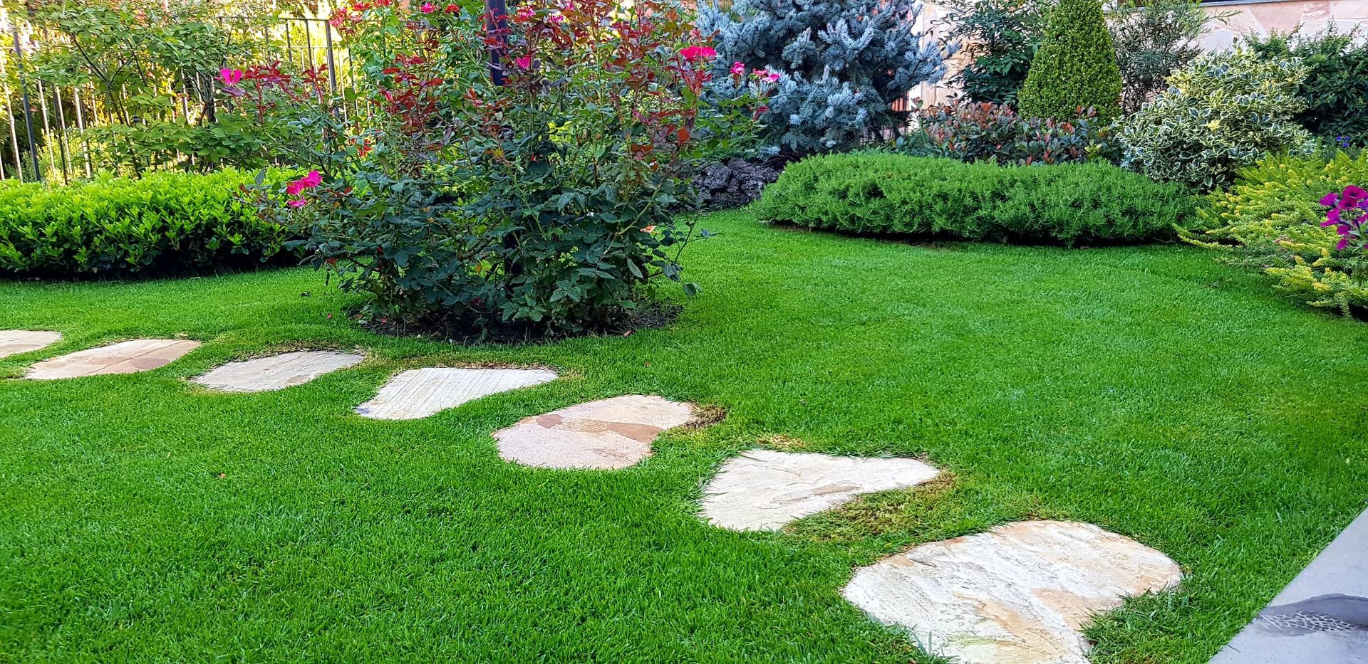 Un giardino erboso con gradini in pietra che attraversano il prato, circondato da piante e cespugli rigogliosi.