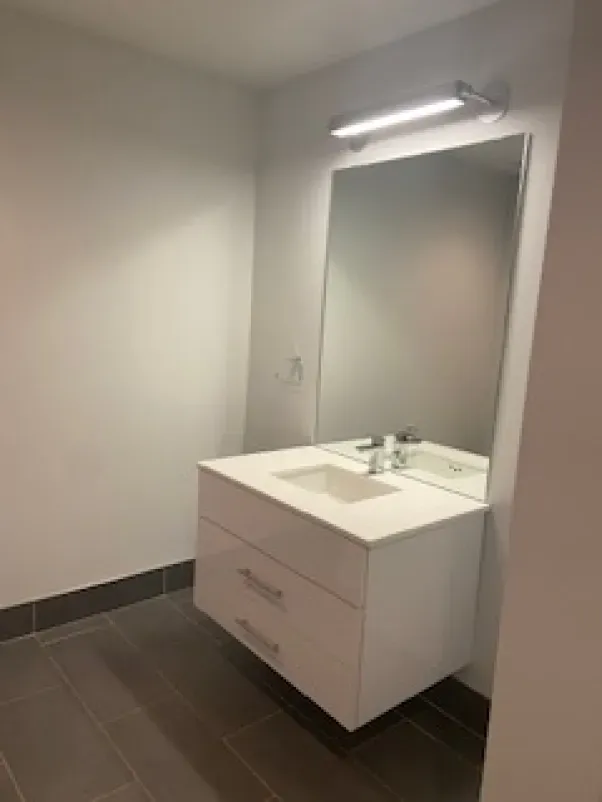 A bathroom with a sink , mirror and light.