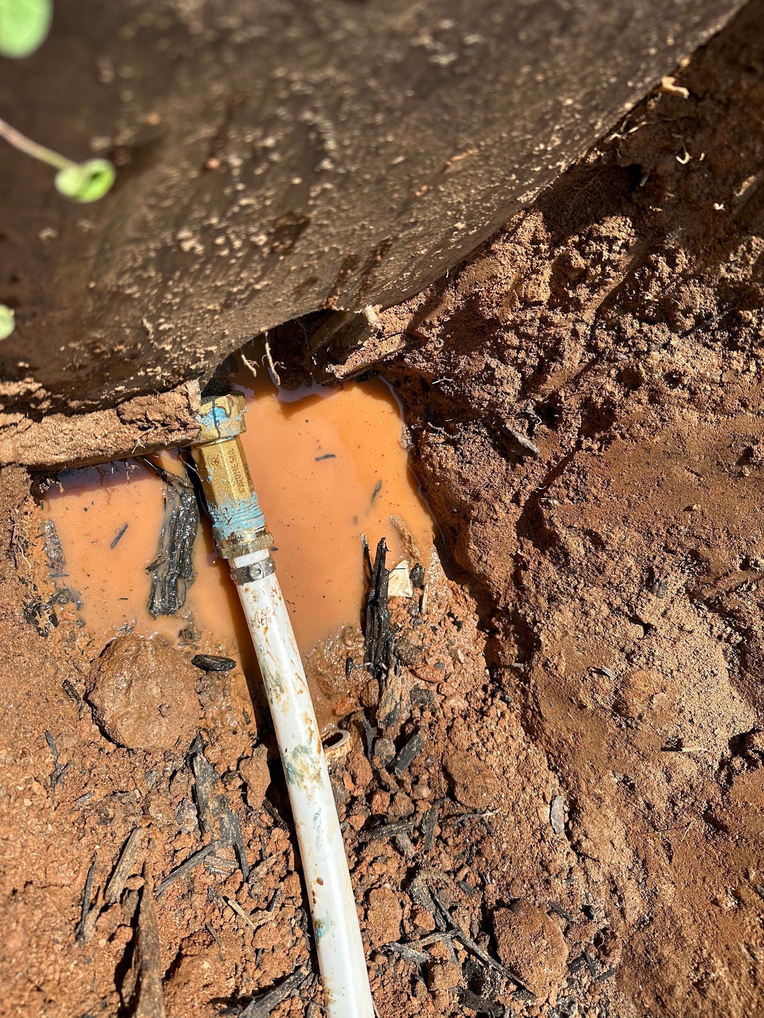 A close up of a hose in the dirt.