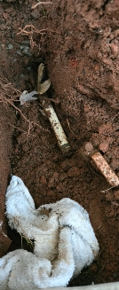 A piece of pipe in the dirt next to a white cloth and small plants.
