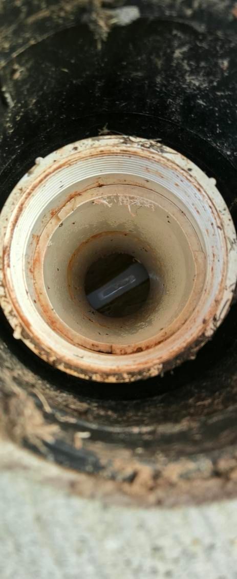 A top-down view of a white PVC pipe fitting containing a piece of gray debris partially obstructing the drain opening.