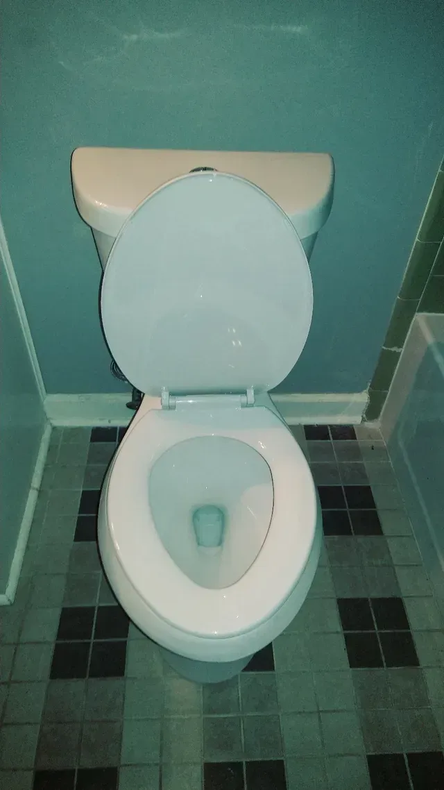 A toilet in a bathroom with the lid up