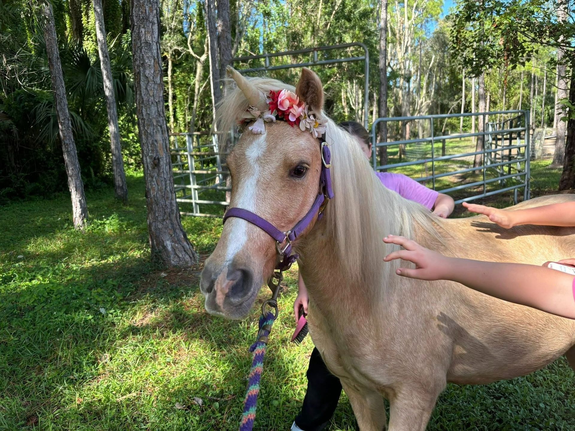 Palomino pony with flower crown being petted; outdoor setting with trees and a fence.