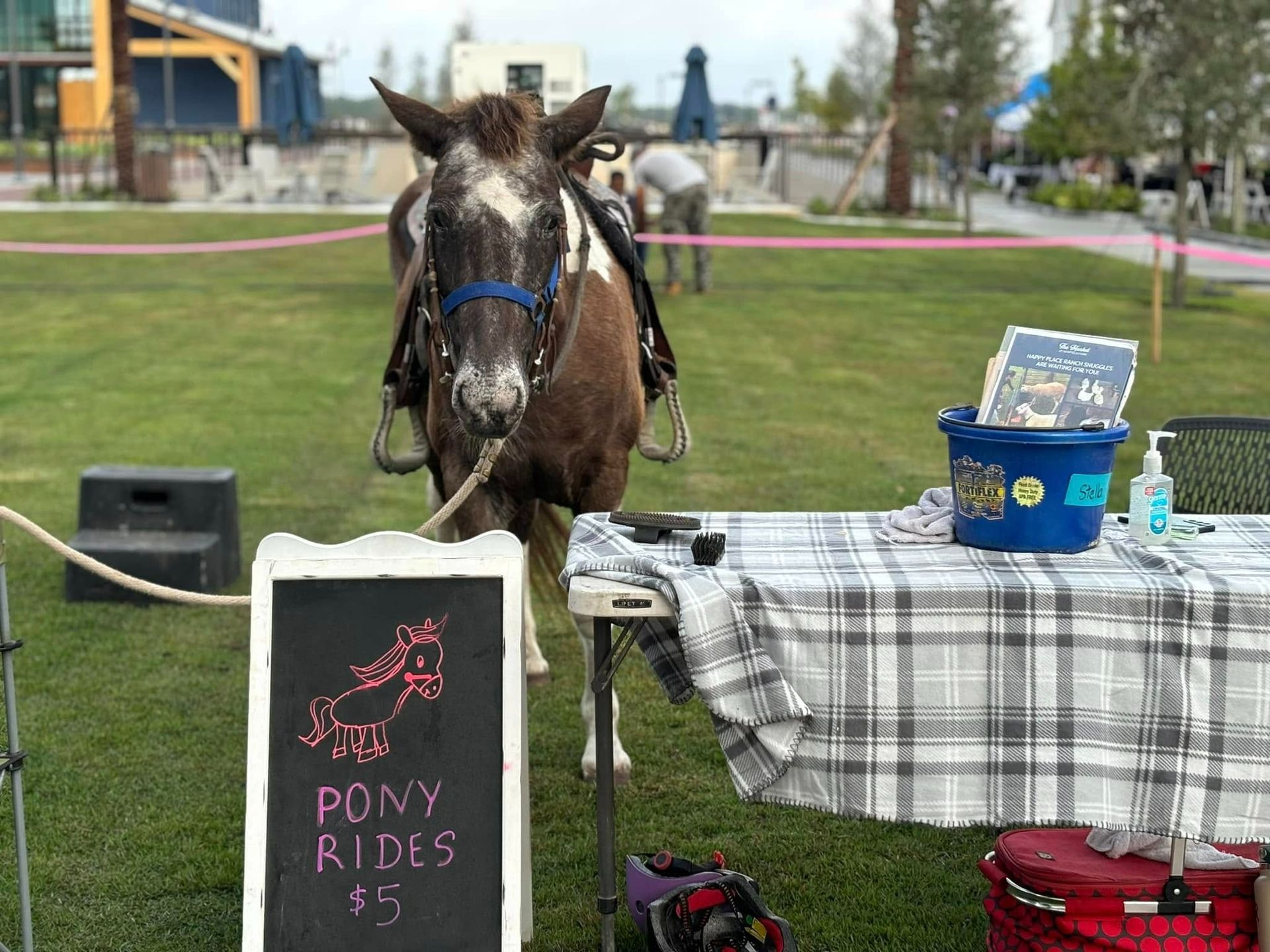 Pony offering rides with a sign that says