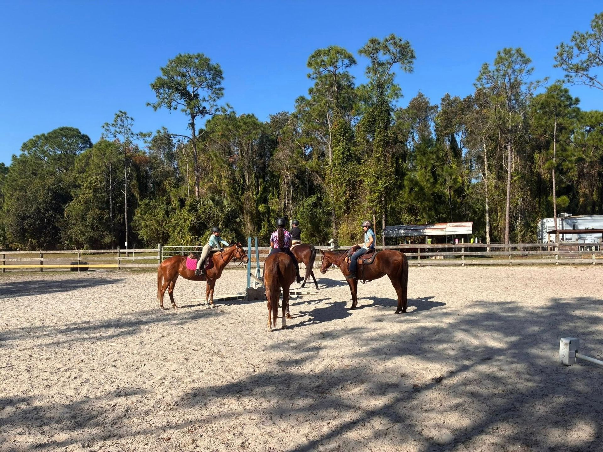 People on horseback in an outdoor riding arena. Sunny day with trees in the background.