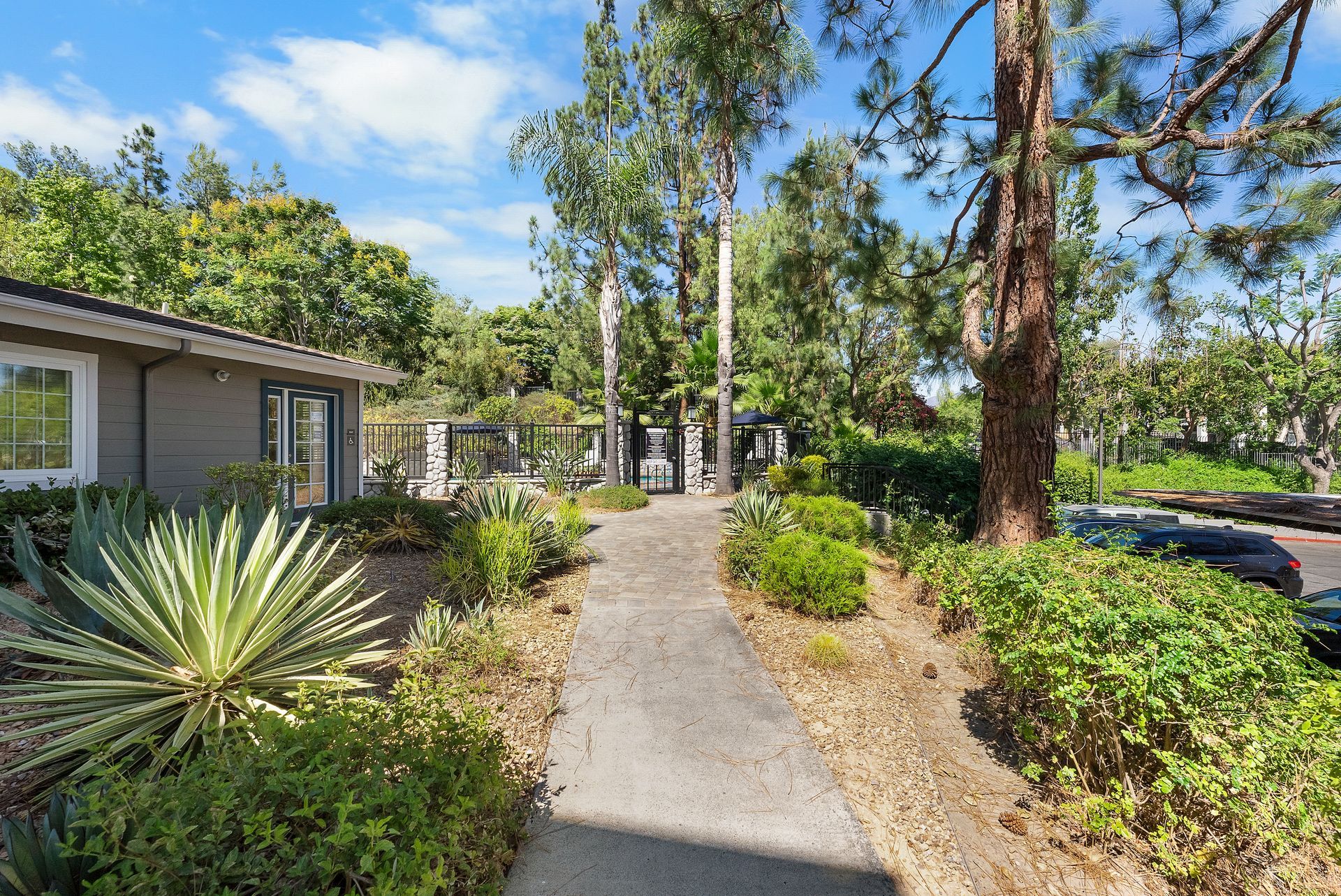 Walkway through landscaping