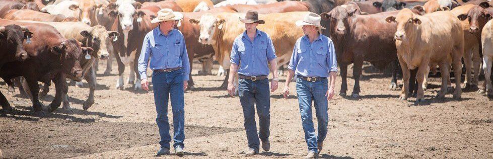 The Queensland beef production industry
