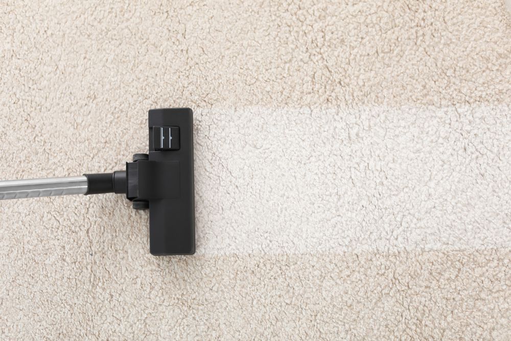 Vacuum Cleaner Cleaning a Beige Carpet, Leaving a Clean Stripe — Phil Lindfield's Big Red Carpet Cleaning In Taree, NSW