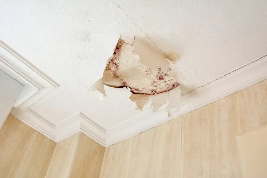 Damaged Ceiling With a Large Hole — Phil Lindfield's Big Red Carpet Cleaning In Hallidays Point, NSW