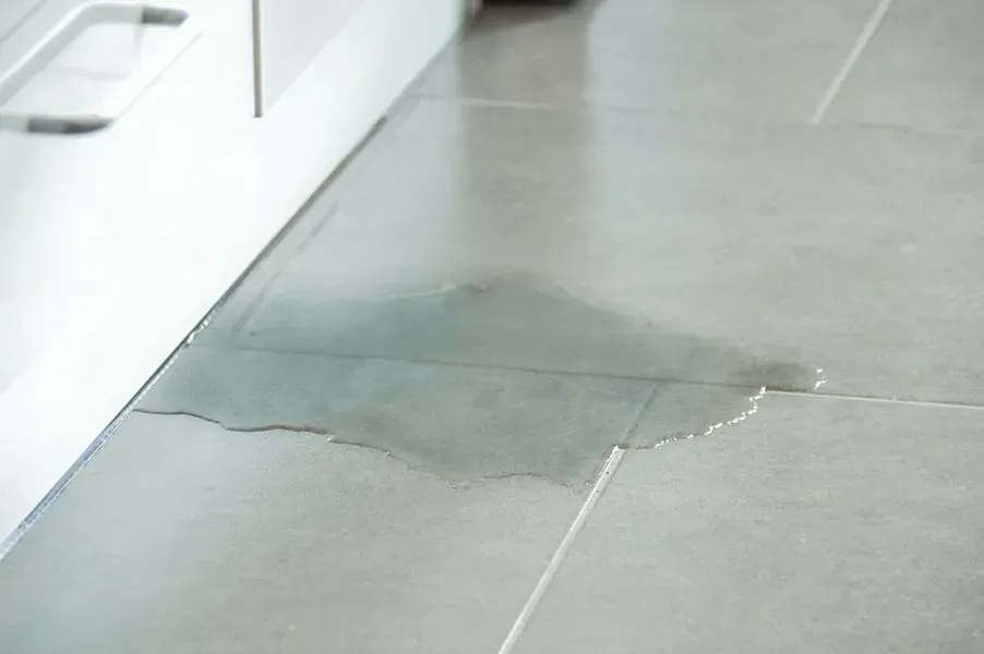 Puddle of Water on Gray Tile Floor — Phil Lindfield's Big Red Carpet Cleaning In Diamond Beach, NSW