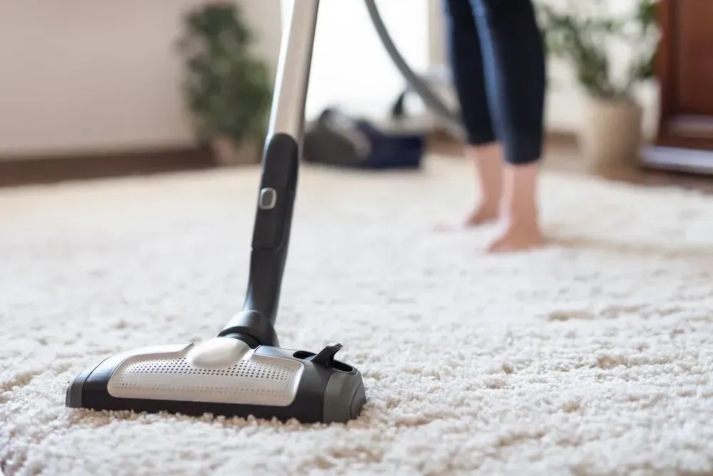 Vacuum Cleaner Head Cleaning a Shaggy White Carpet — Phil Lindfield's Big Red Carpet Cleaning In Taree, NSW