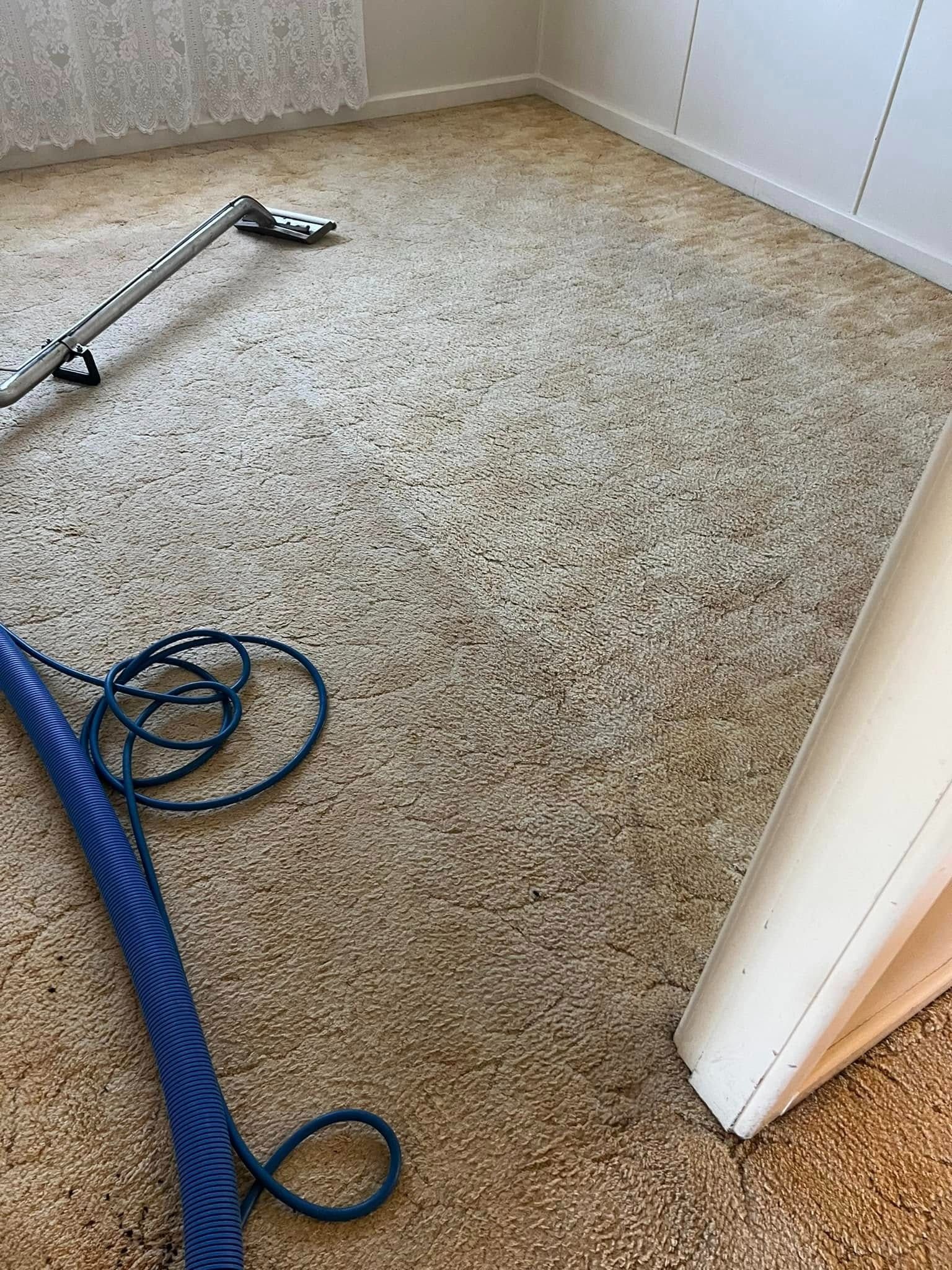 Beige Carpet is Being Cleaned With a Vacuum Cleaner