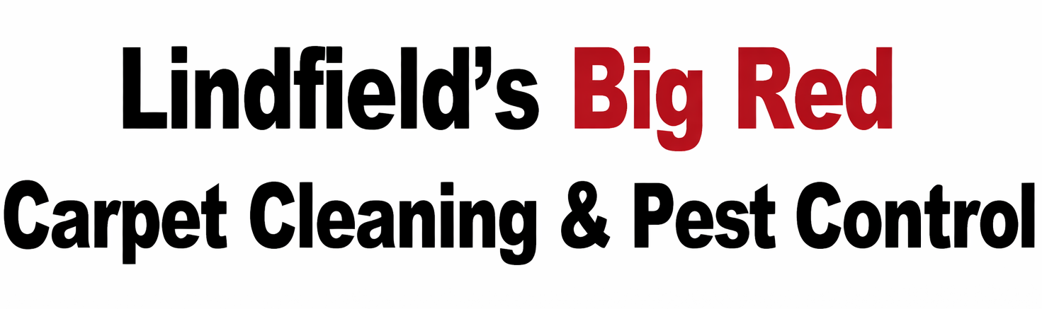 Carpet Cleaning on the Mid North Coast