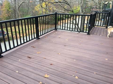 A dog is standing on a wooden deck with a black railing.