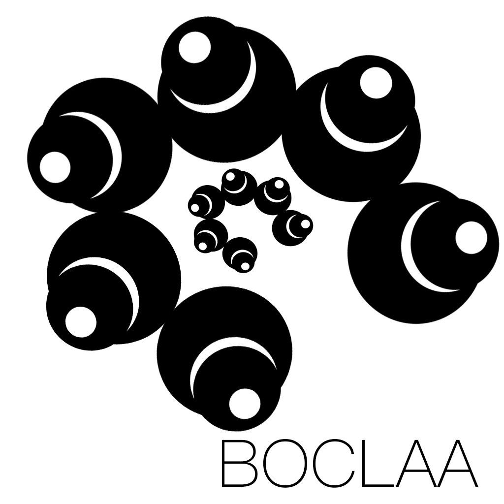 BOCLAA IMAGE TRACKING