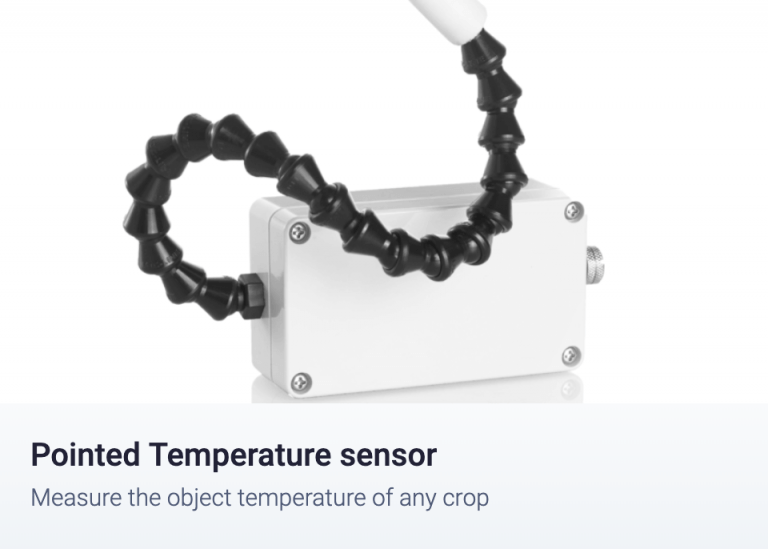 Pointed Temperature sensor