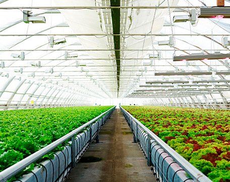 Top-Rated Adelanto, CA Industrial Hydroponics Equipment Wholesaler