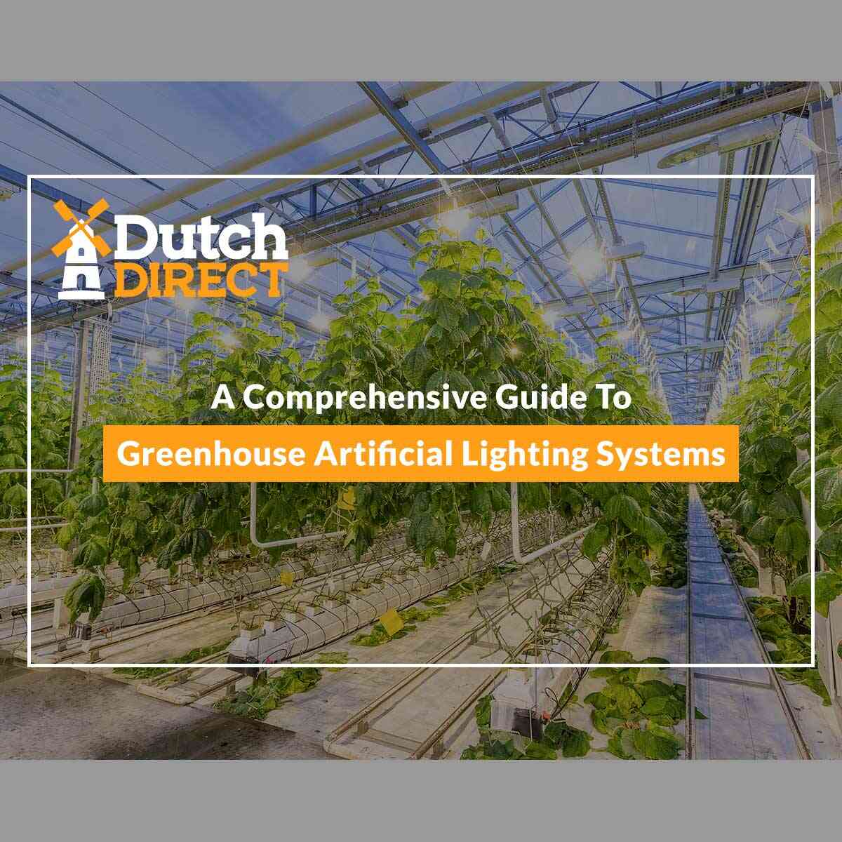 A Comprehensive Guide To Greenhouse Artificial Lighting Systems