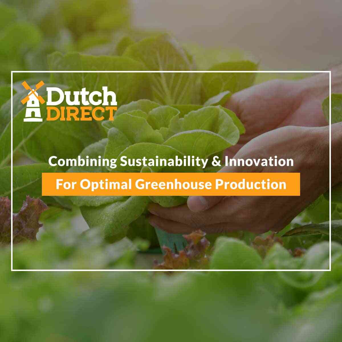 Combining Sustainability & Innovation For Optimal Greenhouse Production