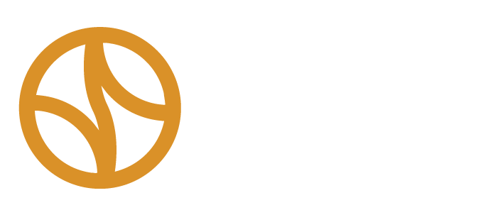 Dutch Plantin