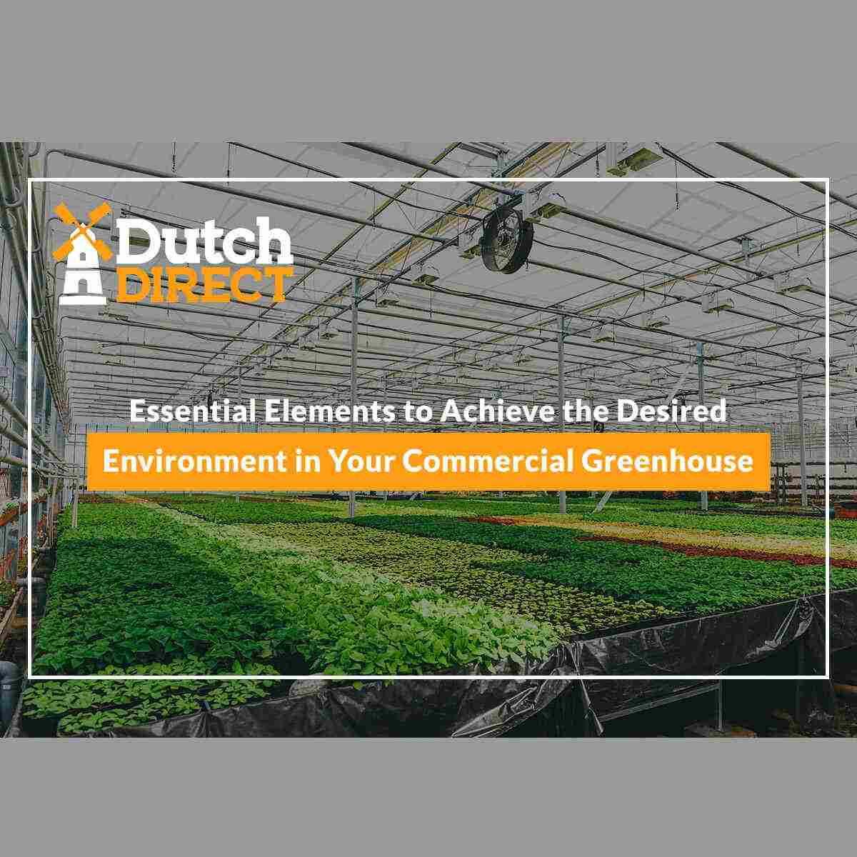 Essential Elements to Achieve the Desired Environment in Your Commercial Greenhouse