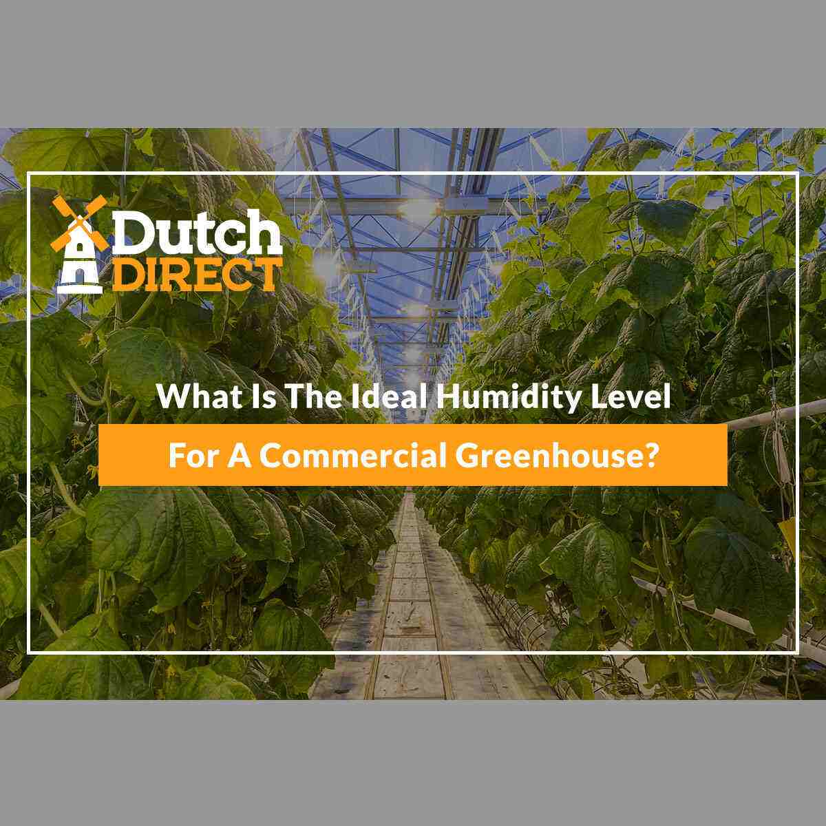 What Is The Ideal Humidity Level For A Commercial Greenhouse?