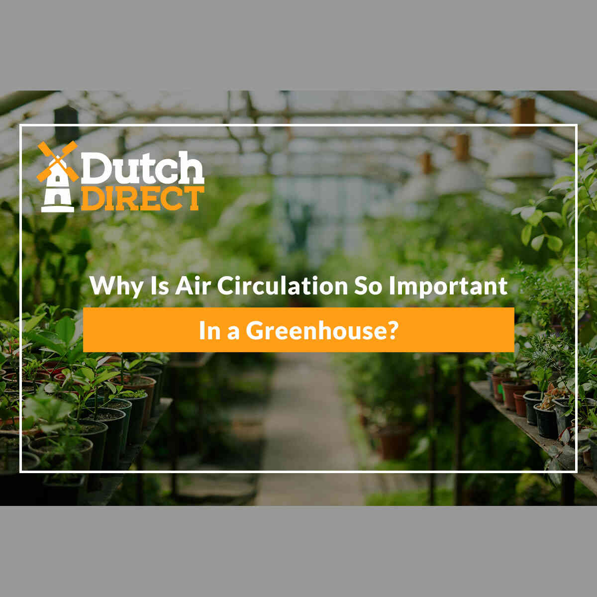 Why Is Air Circulation So Important In a Greenhouse?