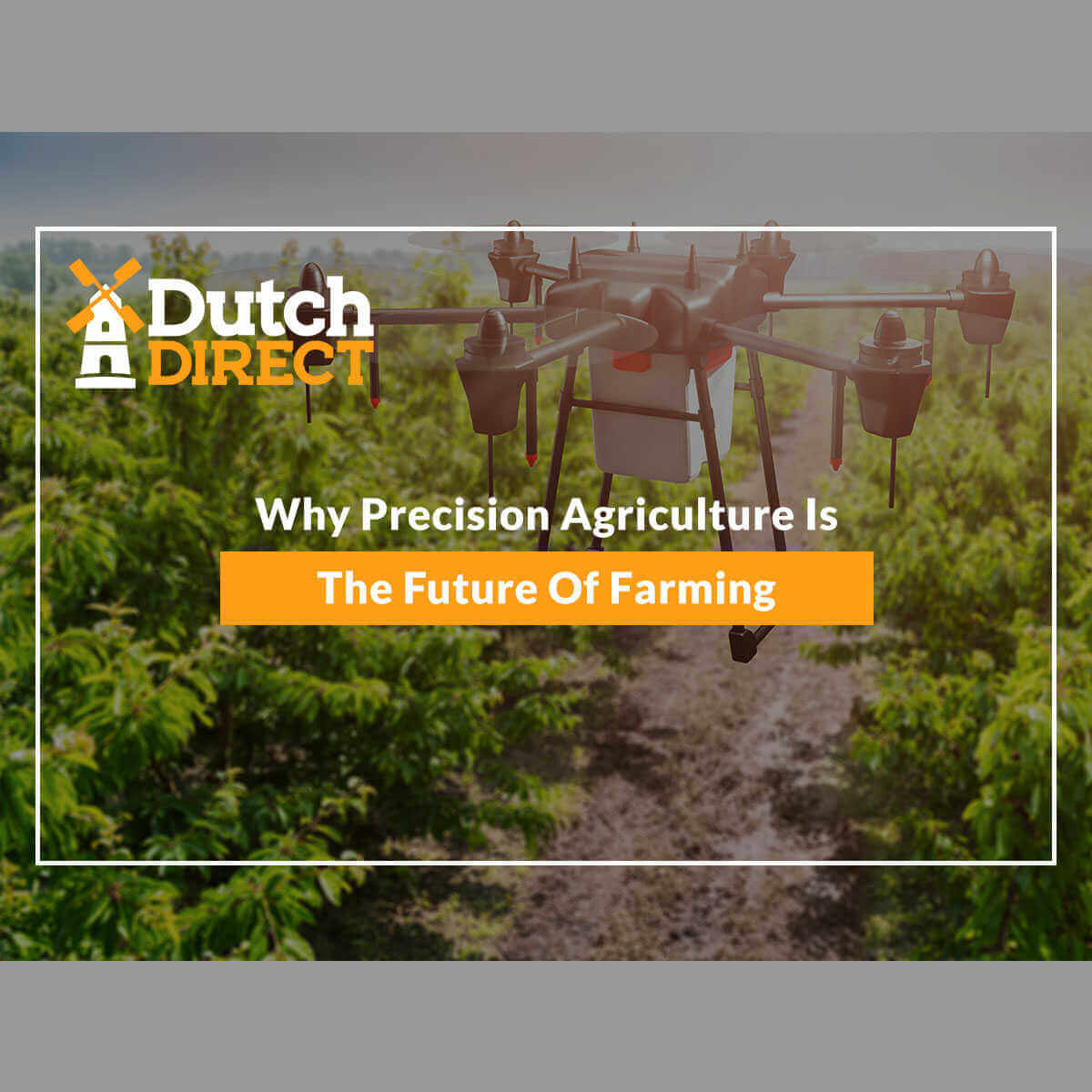 Why Precision Agriculture Is The Future Of Farming