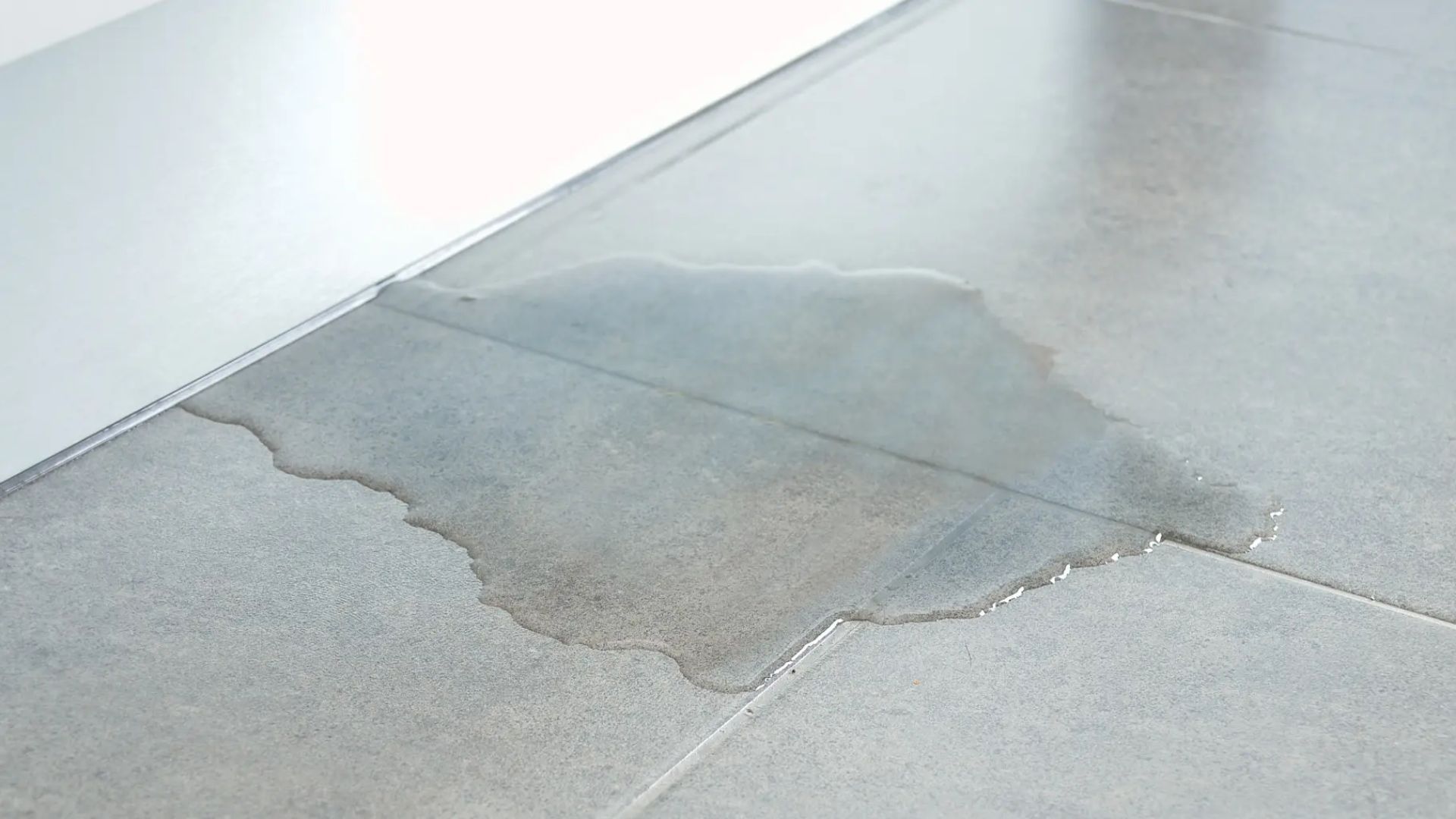 There is a puddle of water on the floor.