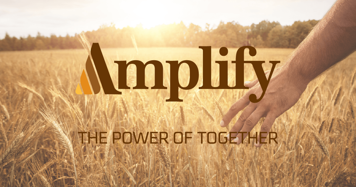Amplify, The power of together.