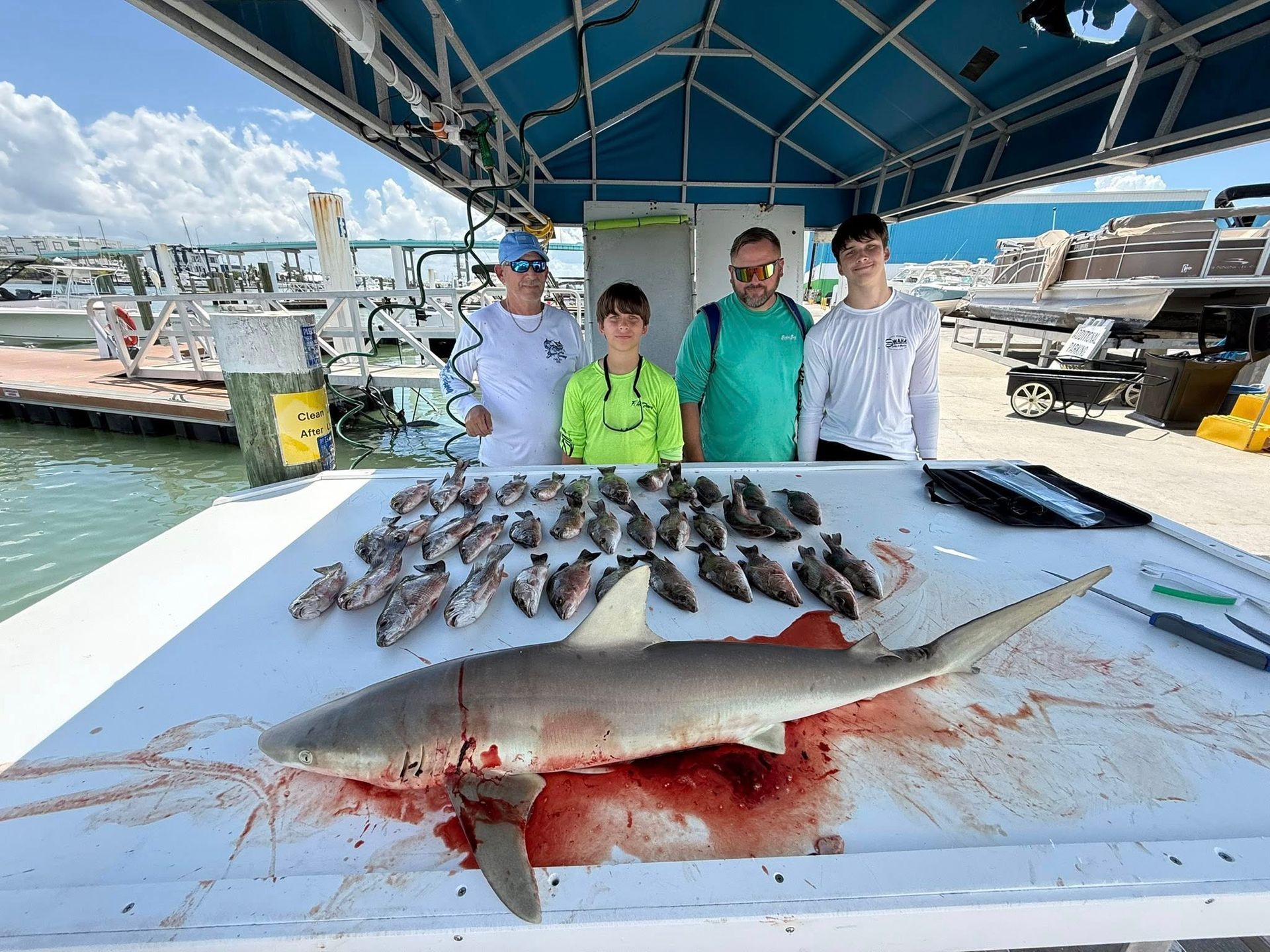 Group of four poses with a large shark and many fish on a boat. Bloody table.