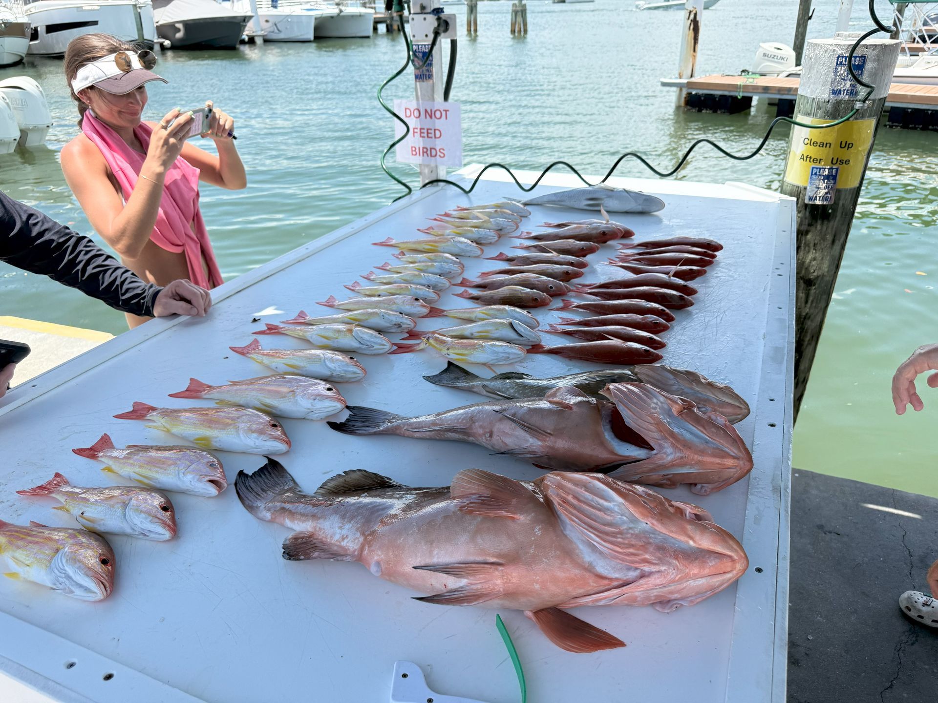 Woman photographing a large catch of fish, including red snapper and grouper, on a white cleaning table at a dock.