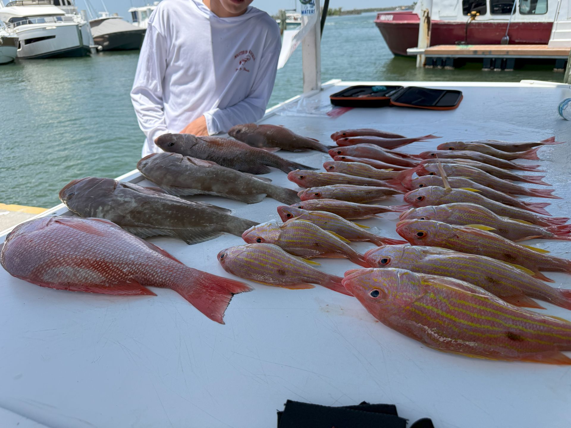 Fisherman with a large catch of fish on a boat deck. Red, yellow, and brown fish are arranged.