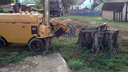 Stump Remover — Stump Removal in Bethel Park, PA