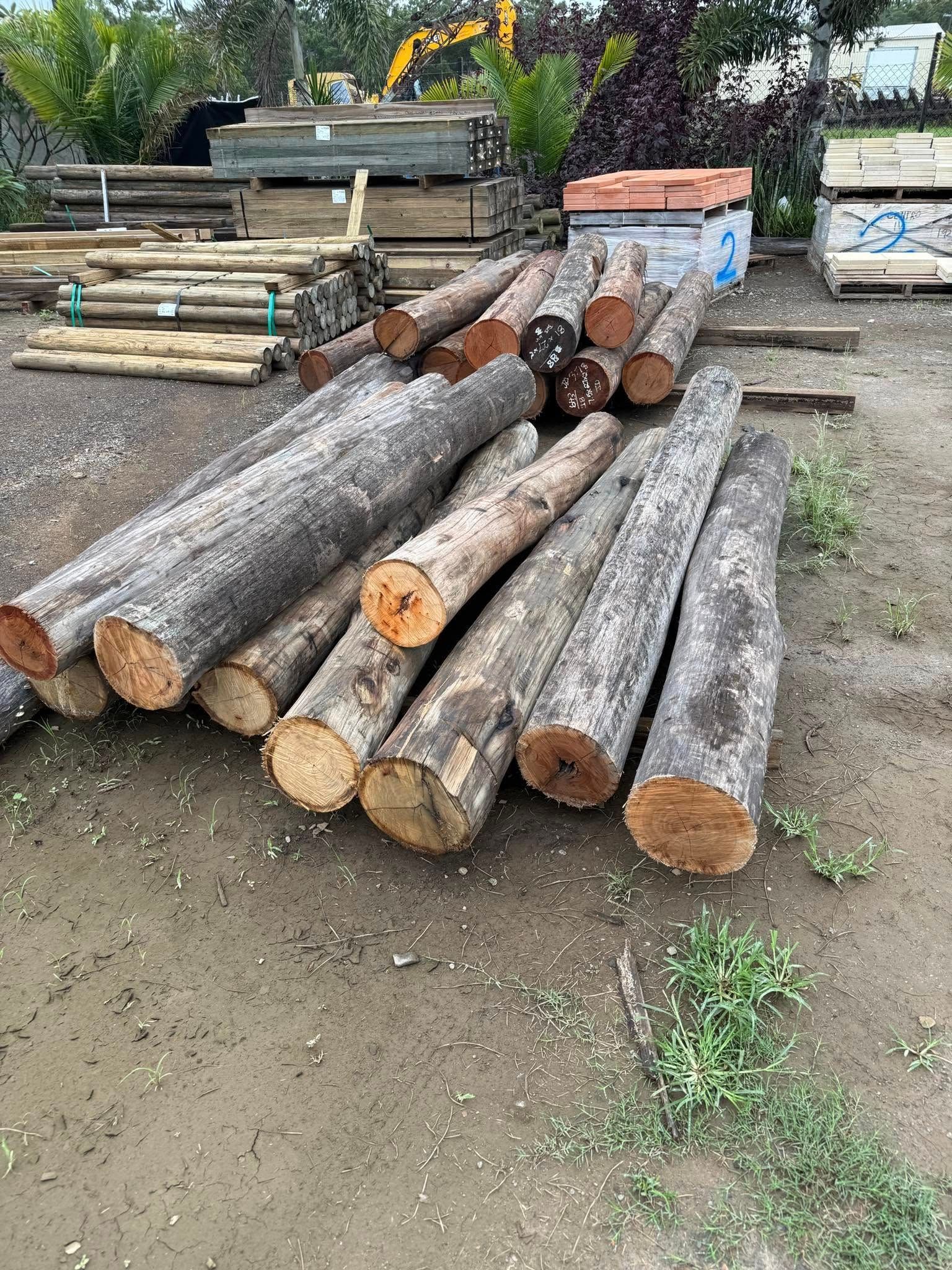 A Man Is Standing in A Warehouse Looking at Wooden Sticks — Howard Hardware and Building Supplies in Howard, QLD