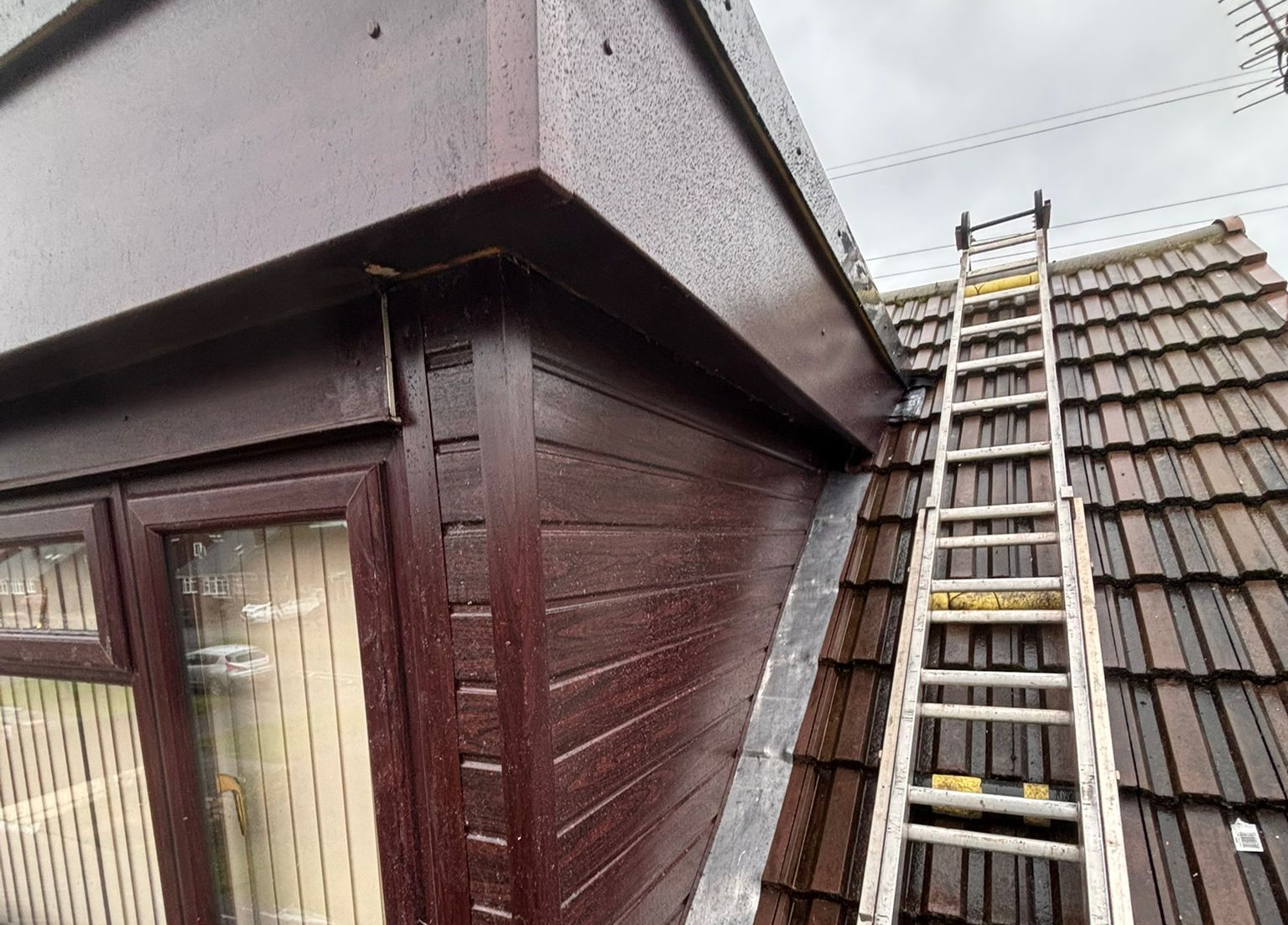 Ladder leaning against a brown wooden building beside a roof edge and window