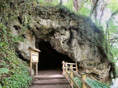 A stone cave entrance nestled in a lush, green wooded area, with a wooden signpost and a small staircase leading inside.