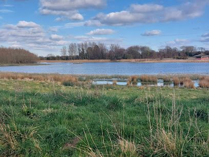 A tranquil lake surrounded by grassy fields and a line of trees under a bright blue sky with scattered clouds.