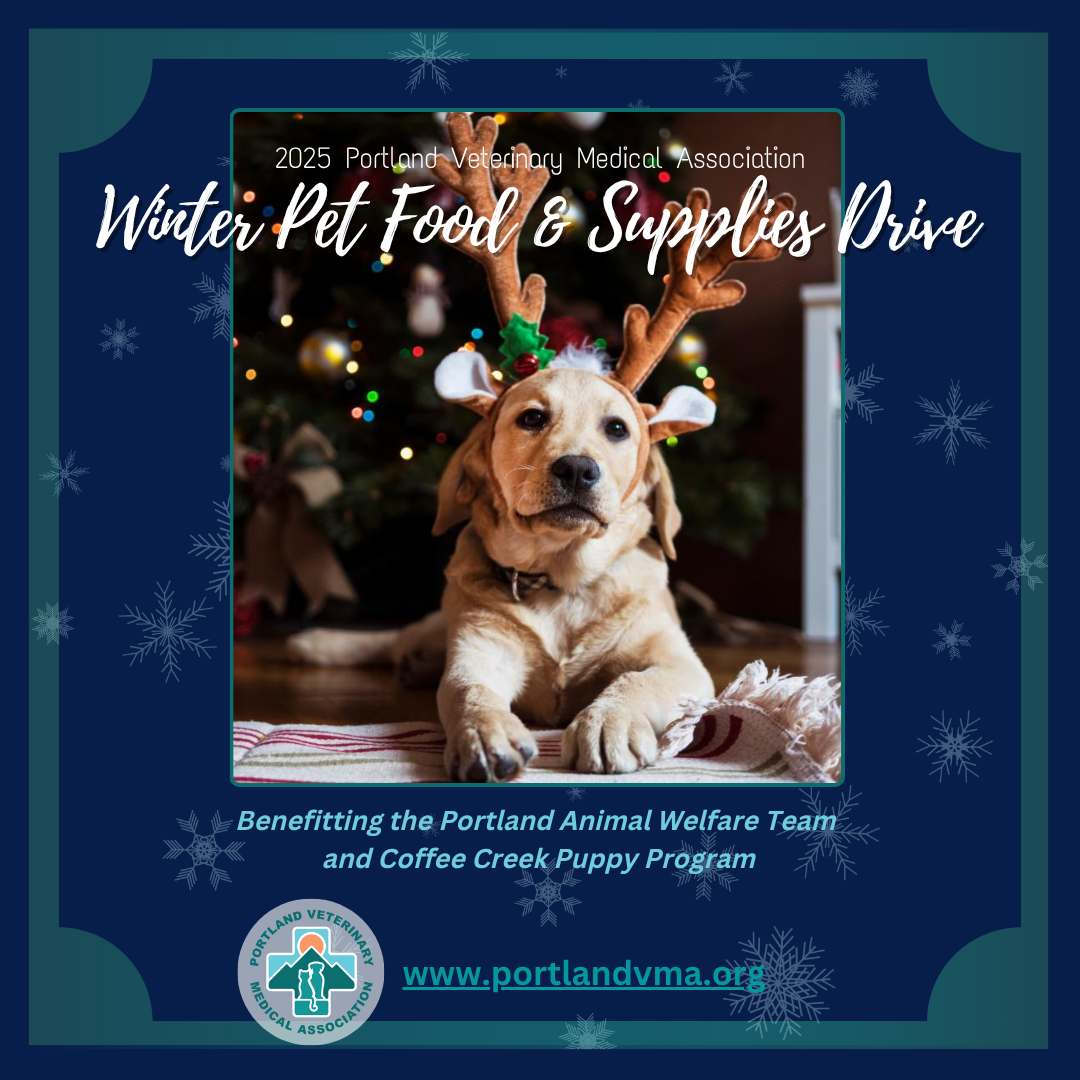 A dog wearing reindeer antlers is laying on the floor in front of a christmas tree.