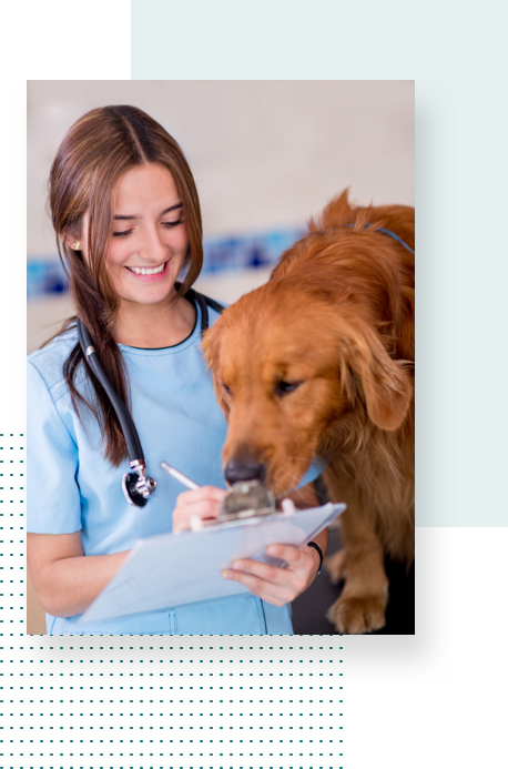 A female veterinarian is holding a clipboard next to a dog.