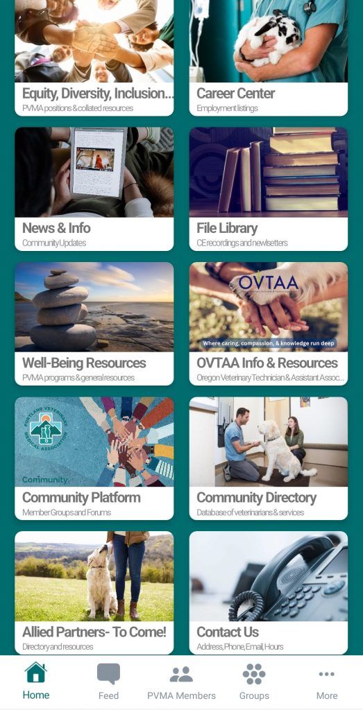 A screenshot of a app with a bunch of icons on it.