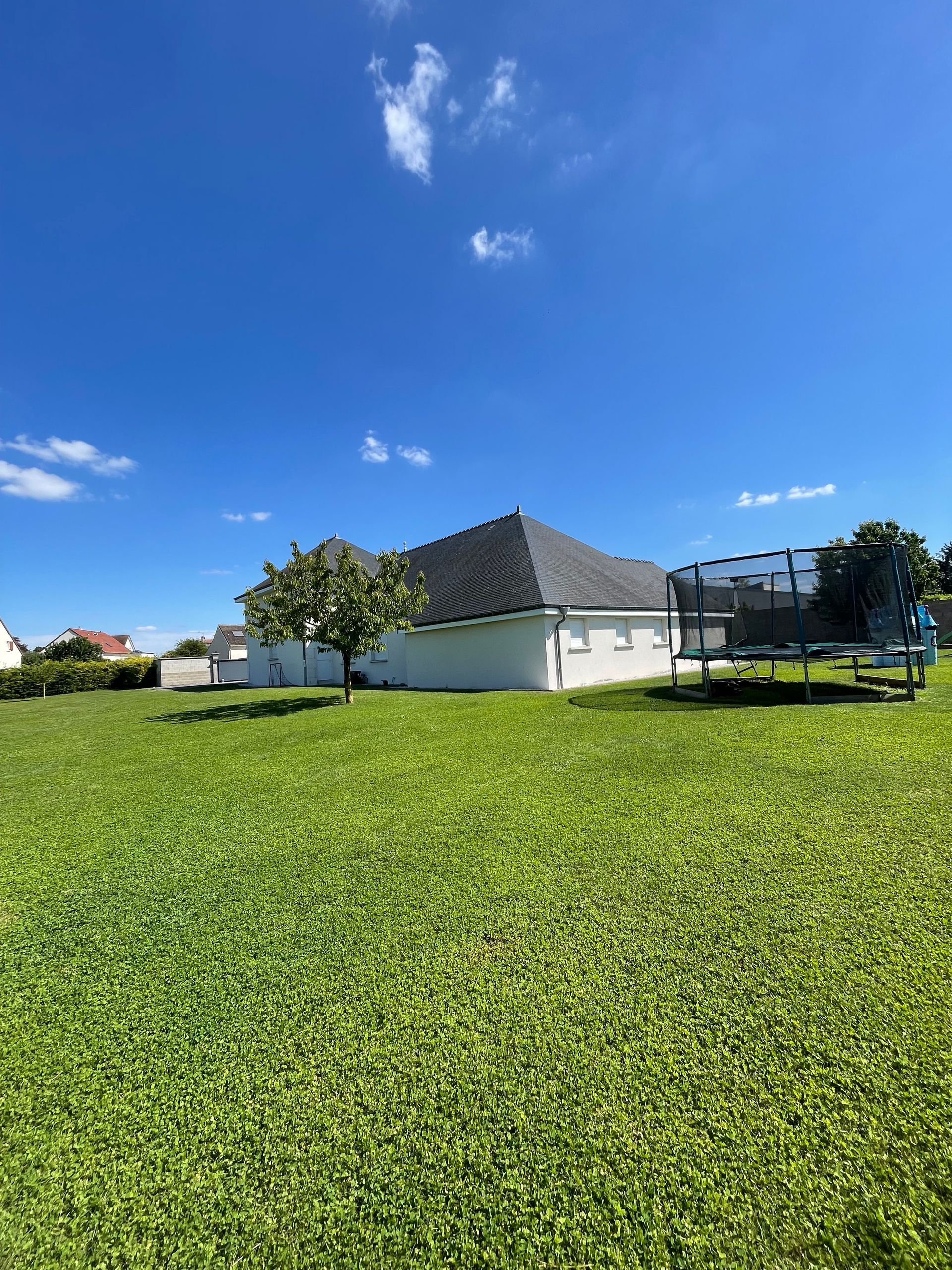 Un grand champ vert luxuriant avec une maison en arrière-plan.