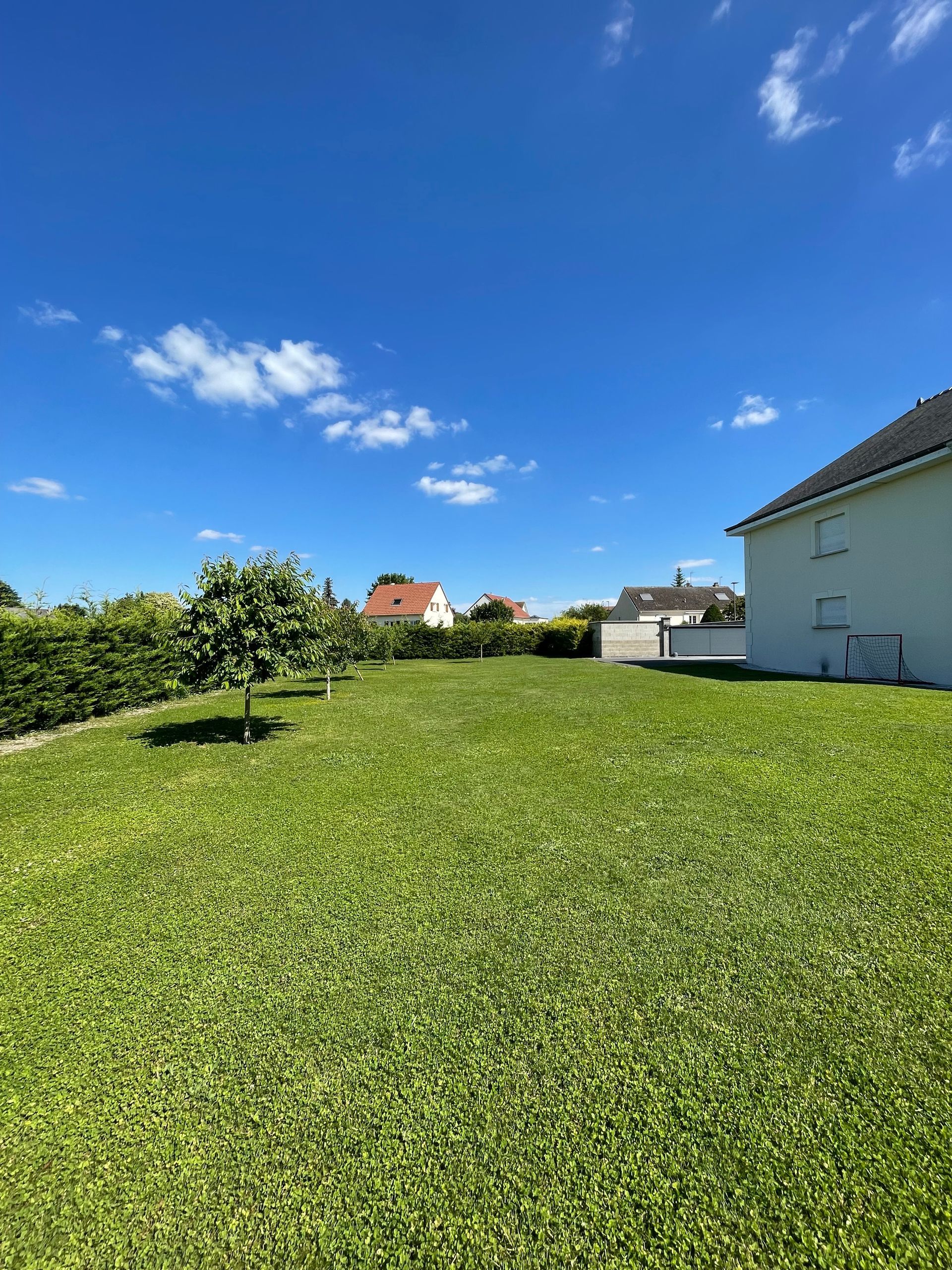 Une grande pelouse verte luxuriante avec une maison en arrière-plan par une journée ensoleillée.